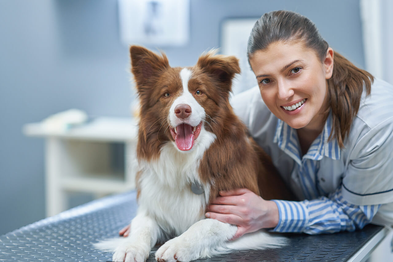 Eine Tierärztin und ein Hund blicken von einem Behandlungstisch in einer Tierarztpraxis glücklich in die Kamera